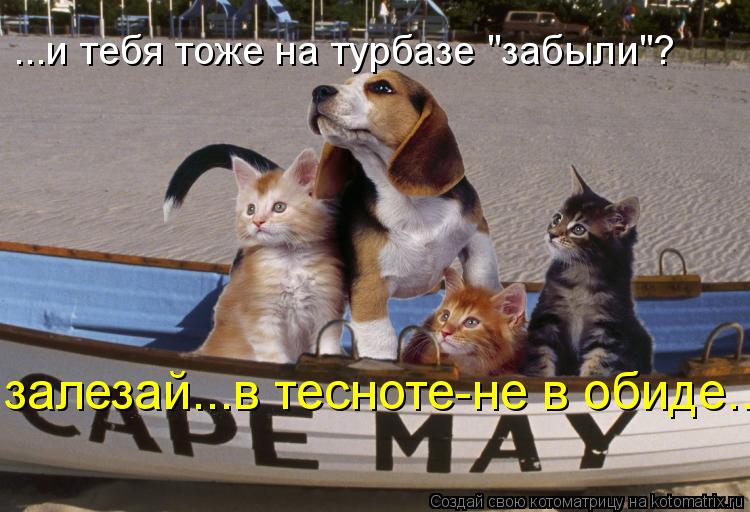 Котоматрица: ...и тебя тоже на турбазе "забыли"? залезай...в тесноте-не в обиде...