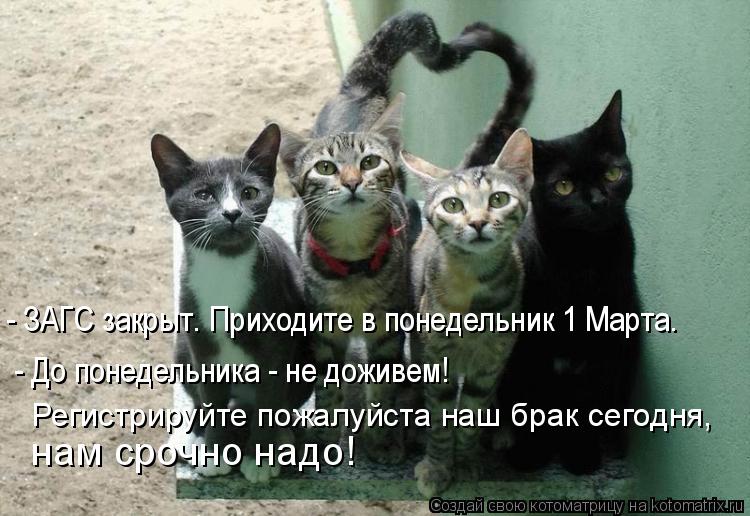 Котоматрица: - ЗАГС закрыт. Приходите в понедельник 1 Марта.  - До понедельника - не доживем!  Регистрируйте пожалуйста наш брак сегодня,  нам срочно надо!