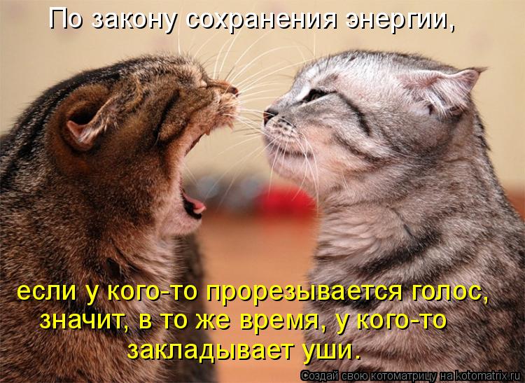 По закону сохранения энергии, если у кого-то прорезывается голос, значит, в то же время, у кого-то за... Котоматрица: По закону сохранения энергии, если у кого-то прорезывается голос, значит, в то же время, у кого-то закладывает уши.