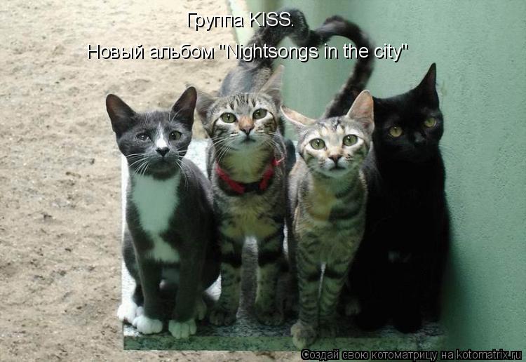 Котоматрица: Группа KISS.  Новый альбом "Nightsongs in the city"