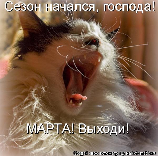 Сезон начался, господа! МАРТА! Выходи!... Котоматрица: Сезон начался, господа! МАРТА! Выходи!