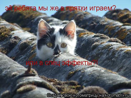 Котоматрица: эй ребята мы же в прятки играем? или в спец эффекты?!