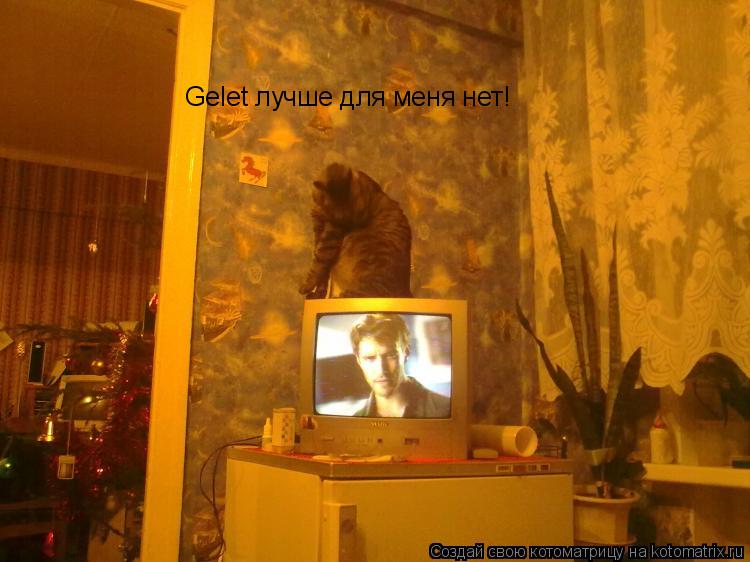 Котоматрица: Gelet лучше для меня нет!