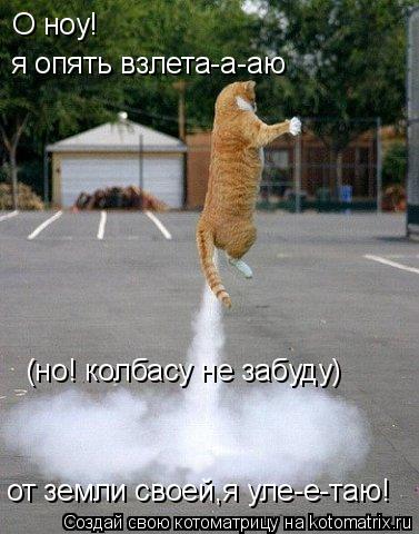 Котоматрица: О ноу! я опять взлета-а-аю от земли своей,я уле-е-таю! (но! колбасу не забуду)