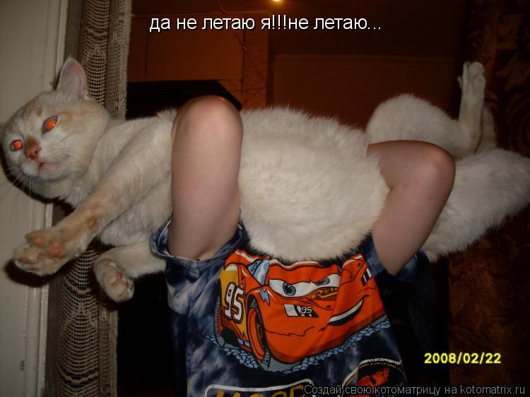 Котоматрица: да не летаю я!!!не летаю...