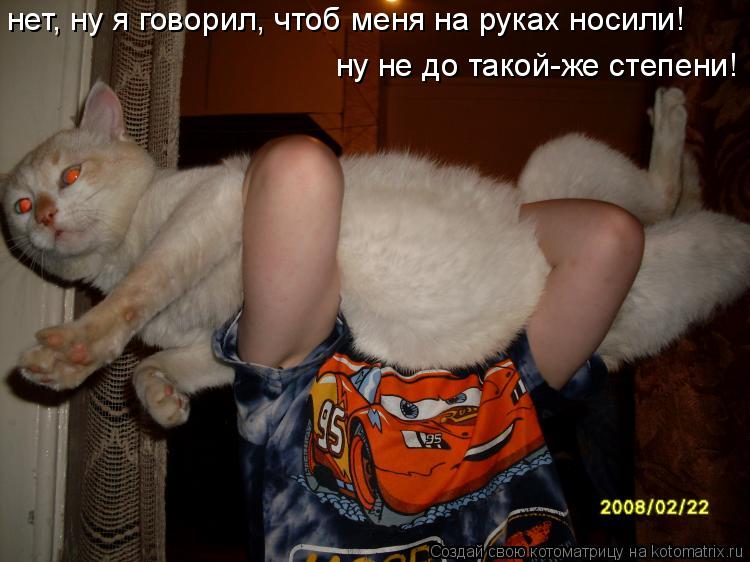 нет, ну я говорил, чтоб меня на руках носили! ну не до такой-же степени!... Котоматрица: нет, ну я говорил, чтоб меня на руках носили! ну не до такой-же степени!