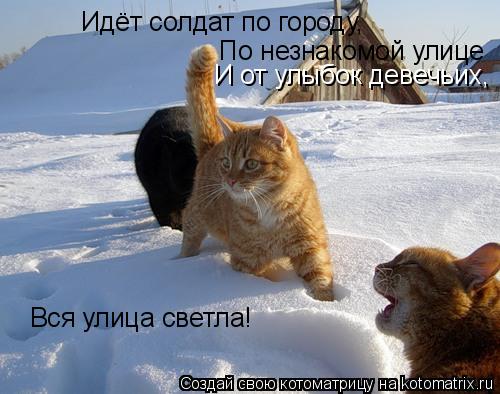 Котоматрица: Идёт солдат по городу,  По незнакомой улице И от улыбок девечьих, Вся улица светла!
