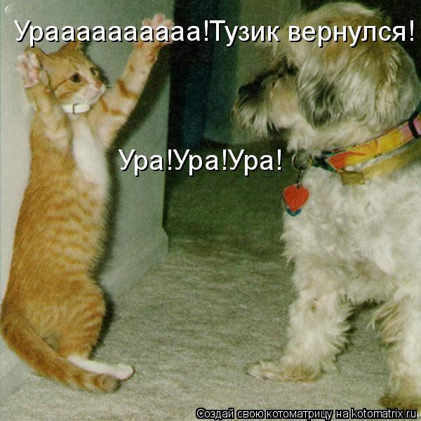 Котоматрица: Ураааааааааа!Тузик вернулся! Ура!Ура!Ура!