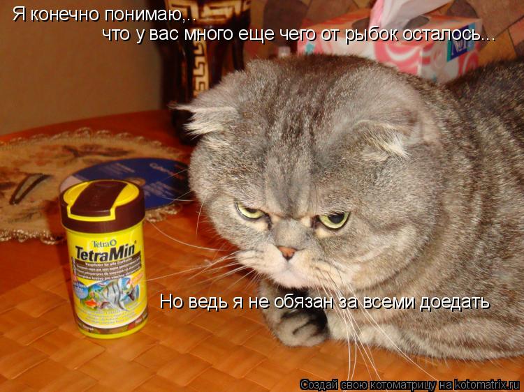 Котоматрица: Я конечно понимаю,.. Но ведь я не обязан за всеми доедать  что у вас много еще чего от рыбок осталось...