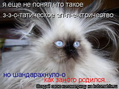 Котоматрица: я еще не понял,что такое з-з-с-татическое эл-л-е-ктричество но шандарахнуло-о как заного родился...