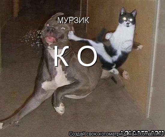 Котоматрица: МУРЗИК МУРЗИК К О