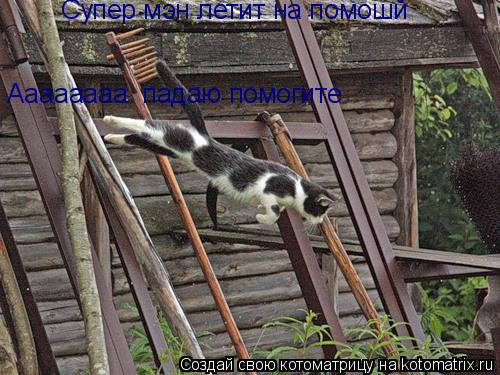 Котоматрица: Супер мэн летит на помошй  Аааааааа  падаю помогите