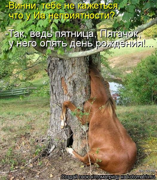 Котоматрица: -Винни, тебе не кажеться, что у Иа неприятности? -Так, ведь пятница, Пятачок, у него опять день рождения!...