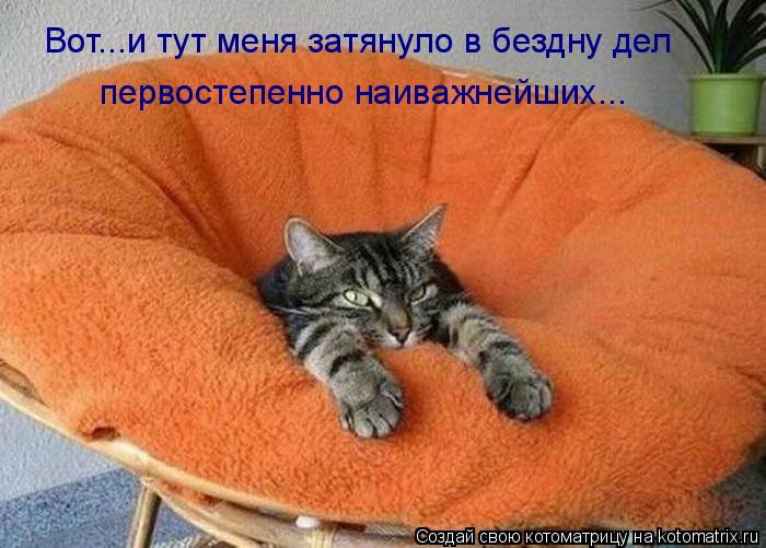 Котоматрица: Вот...и тут меня затянуло в бездну дел  первостепенно наиважнейших...