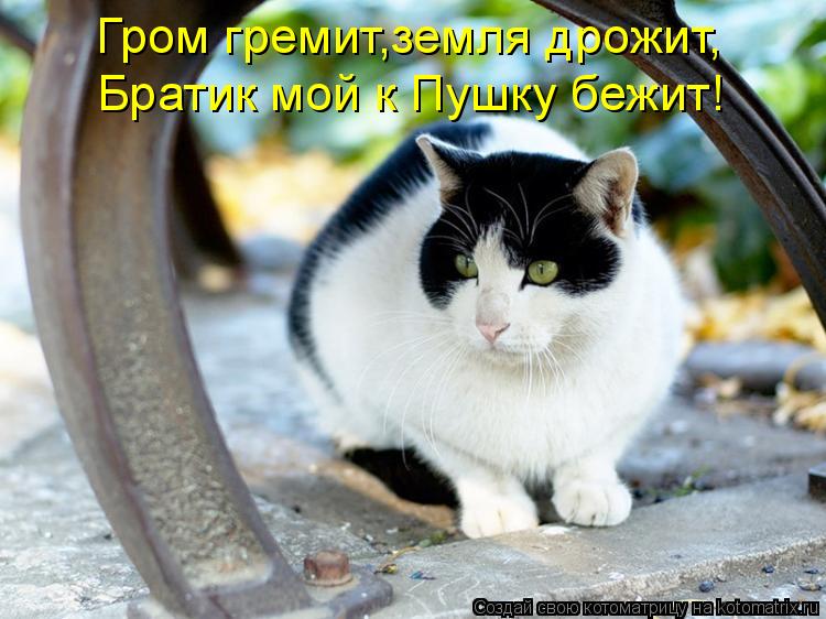 Котоматрица: Гром гремит,земля дрожит, Братик мой к Пушку бежит!