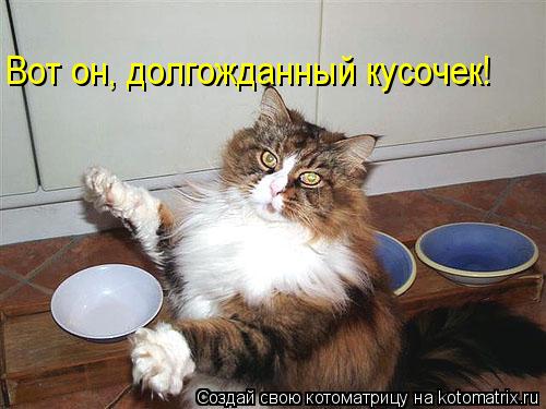 Котоматрица: Вот он, долгожданный кусочек!