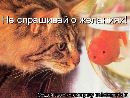 Котоматрица: Не спрашивай о желаниях!