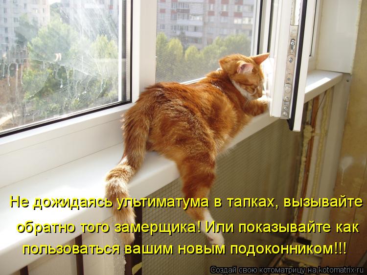 Котоматрица: Не дожидаясь ультиматума в тапках, вызывайте  пользоваться вашим новым подоконником!!! обратно того замерщика! Или показывайте как