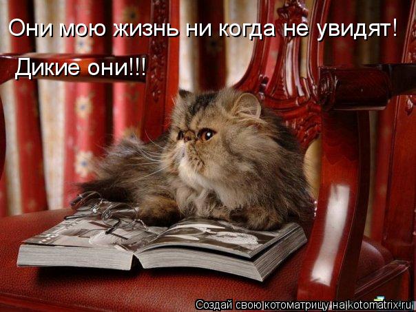 Котоматрица: Они мою жизнь ни когда не увидят! Дикие они!!!