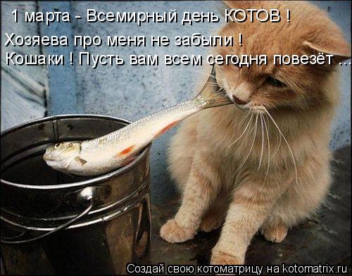 1 марта - Всемирный день КОТОВ ! Хозяева про меня не забыли ! Кошаки ! Пусть вам всем сегодня повезё... Котоматрица: 1 марта - Всемирный день КОТОВ ! Хозяева про меня не забыли ! Кошаки ! Пусть вам всем сегодня повезёт ...