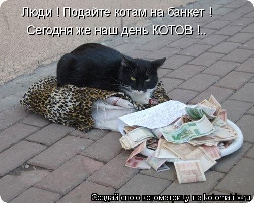 Котоматрица: Люди ! Подайте котам на банкет ! Сегодня же наш день КОТОВ !..