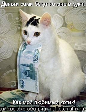 Котоматрица: Деньги сами бегут ко мне в руки!  Как мой любимый котик!