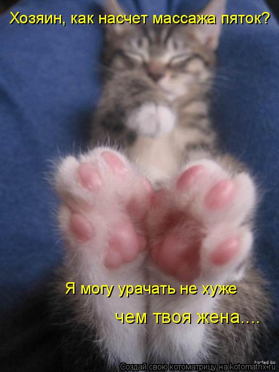 Хозяин, как насчет массажа пяток? Я могу урачать не хуже чем твоя жена....... Котоматрица: Хозяин, как насчет массажа пяток? Я могу урачать не хуже чем твоя жена....