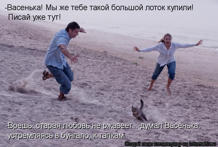 -Васенька! Мы же тебе такой большой лоток купили! Писай уже тут! -Врешь..старая любовь не ржавеет...... Котоматрица: -Васенька! Мы же тебе такой большой лоток купили! Писай уже тут! -Врешь..старая любовь не ржавеет...-думал Васенька, устремляясь в бунгало, к т