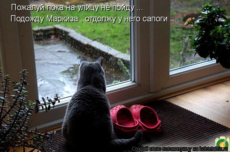 Пожалуй пока на улицу не пойду ... Подожду Маркиза , отдолжу у него сапоги ...... Котоматрица: Пожалуй пока на улицу не пойду ... Подожду Маркиза , отдолжу у него сапоги ...