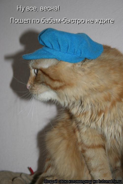 Ну все, весна! Пошел по бабам-быстро не ждите... Котоматрица: Ну все, весна! Пошел по бабам-быстро не ждите