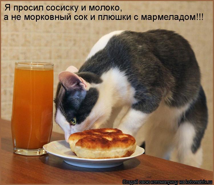 Я просил сосиску и молоко, а не морковный сок и плюшки с мармеладом!!!... Котоматрица: Я просил сосиску и молоко, а не морковный сок и плюшки с мармеладом!!!