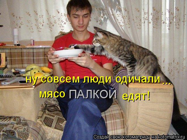 ну совсем люди одичали мясо ПАЛКОЙ едят! ...... Котоматрица: ну совсем люди одичали мясо ПАЛКОЙ едят! ...