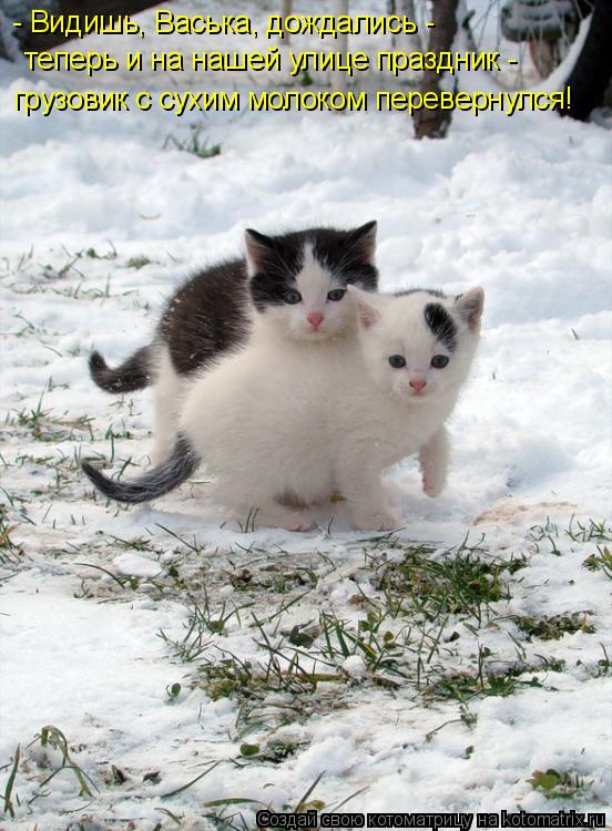 - Видишь, Васька, дождались - теперь и на нашей улице праздник - грузовик с сухим молоком перевернул... Котоматрица: - Видишь, Васька, дождались - теперь и на нашей улице праздник - грузовик с сухим молоком перевернулся!