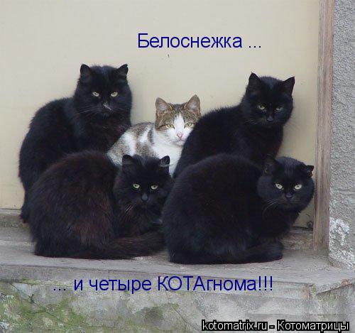 Белоснежка ... ... и четыре КОТАгнома!!!... Котоматрица: Белоснежка ... ... и четыре КОТАгнома!!!