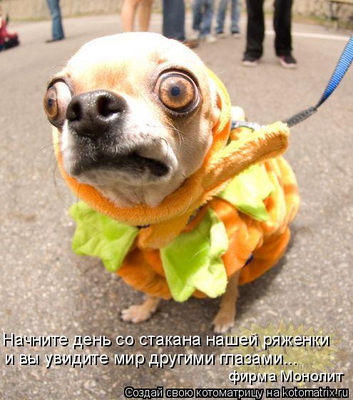 Начните день со стакана нашей ряженки и вы увидите мир другими глазами... фирма Монолит... Котоматрица: Начните день со стакана нашей ряженки и вы увидите мир другими глазами... фирма Монолит