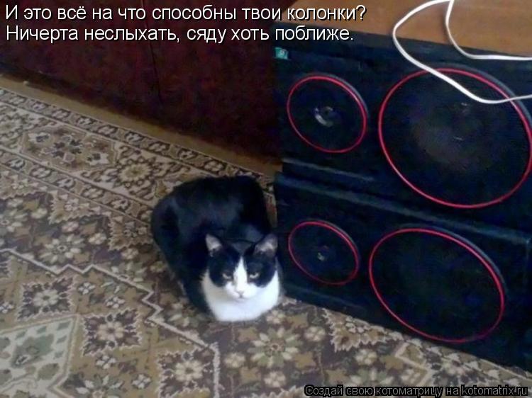 И это всё на что способны твои колонки? Ничерта неслыхать, сяду хоть поближе.... Котоматрица: И это всё на что способны твои колонки? Ничерта неслыхать, сяду хоть поближе.