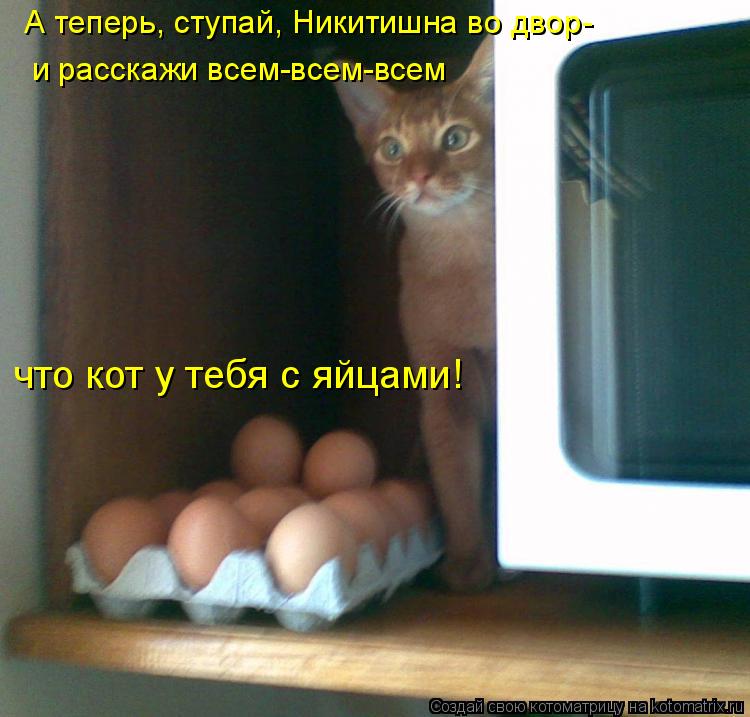 Котоматрица: А теперь, ступай, Никитишна во двор- и расскажи всем-всем-всем что кот у тебя с яйцами!