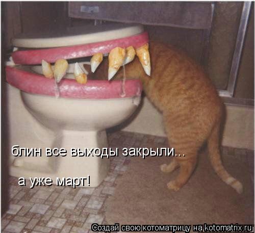 блин все выходы закрыли... а уже март!... Котоматрица: блин все выходы закрыли... а уже март!