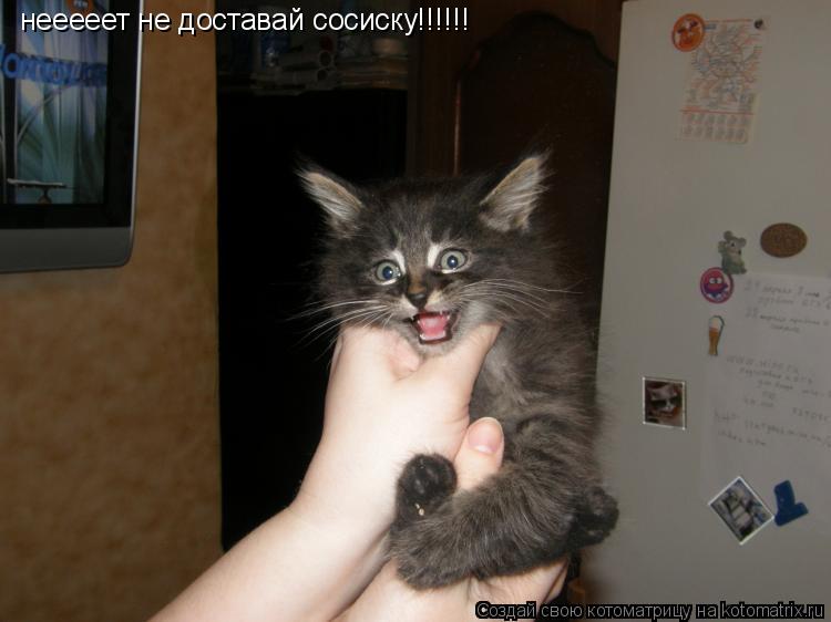 Котоматрица: нееееет не доставай сосиску!!!!!!