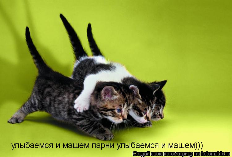 Котоматрица: улыбаемся и машем парни улыбаемся и машем)))