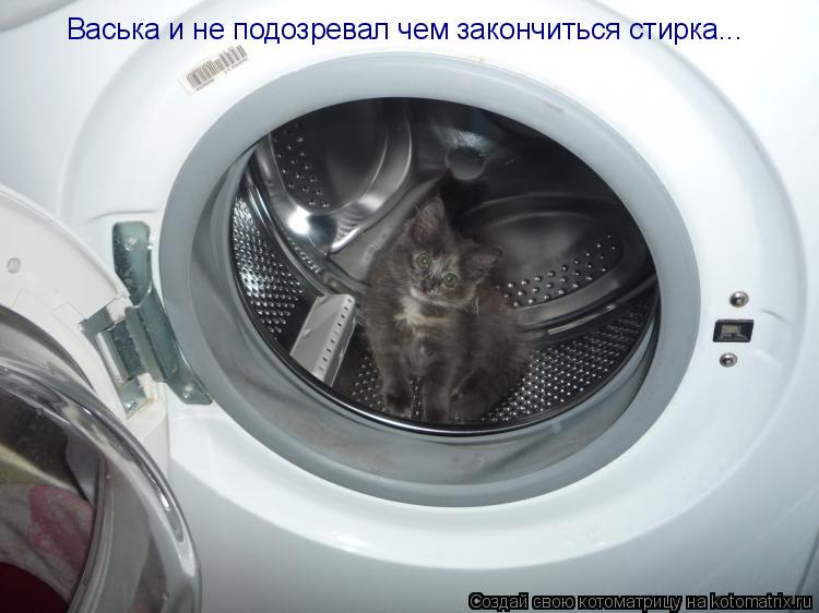 Котоматрица: Васька и не подозревал чем закончиться стирка...