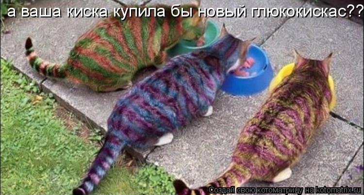 Котоматрица: а ваша киска купила бы новый глюкокискас??