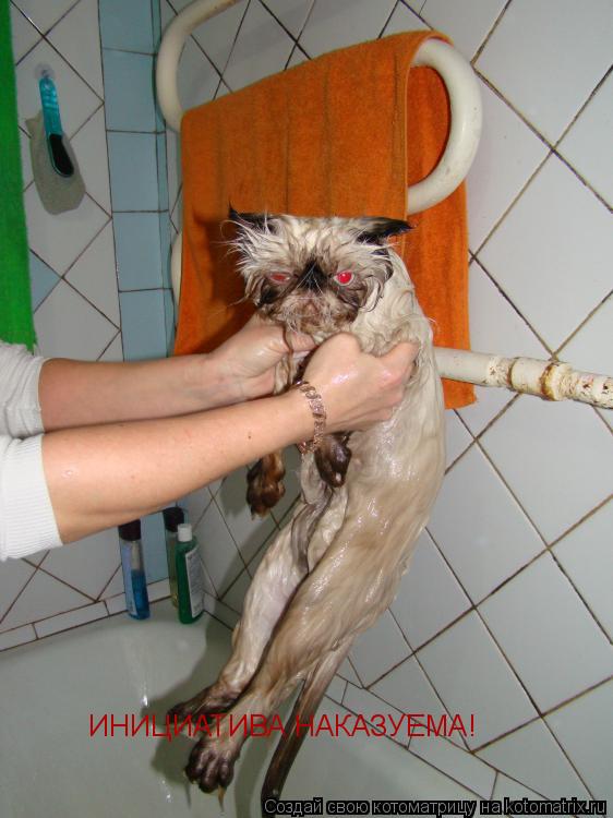 Котоматрица: ИНИЦИАТИВА НАКАЗУЕМА!