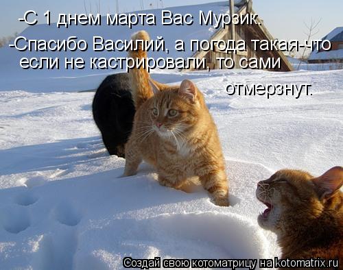 Котоматрица: -С 1 днем марта Вас Мурзик. -Спасибо Василий, а погода такая-что  если не кастрировали, то сами  отмерзнут.