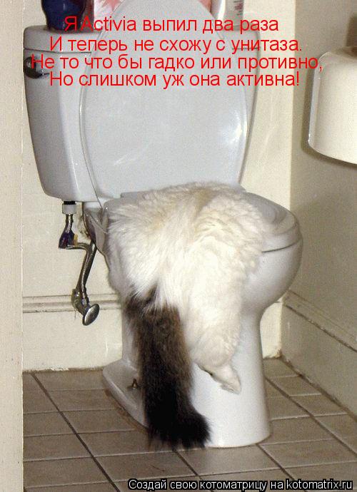 Котоматрица: Я Activia выпил два раза И теперь не схожу с унитаза. Не то что бы гадко или противно, Но слишком уж она активна!