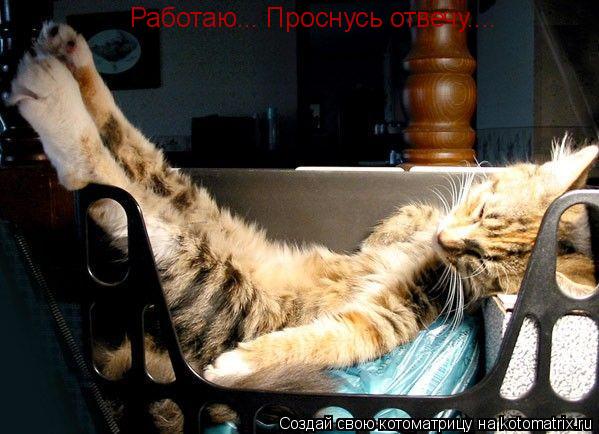 Котоматрица: Работаю... Проснусь отвечу....