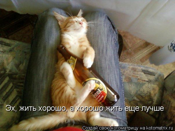 Котоматрица: Эх, жить хорошо, а хорошо жить еще лучше