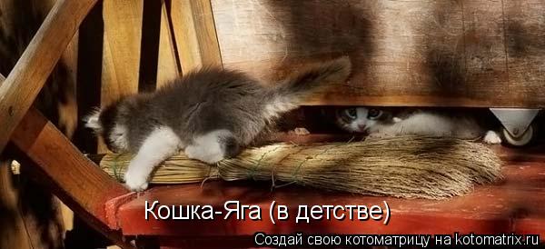 Котоматрица: Кошка-Яга (в детстве)