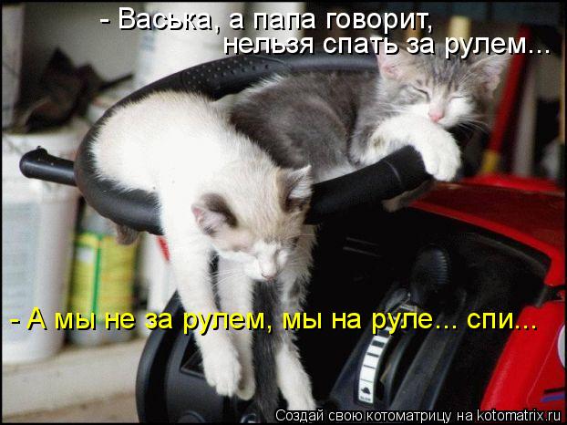Котоматрица: - Васька, а папа говорит,  нельзя спать за рулем... - А мы не за рулем, мы на руле... спи...