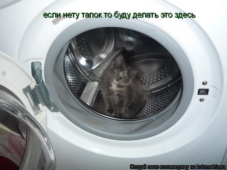 Котоматрица: если нету тапок то буду делать это здесь